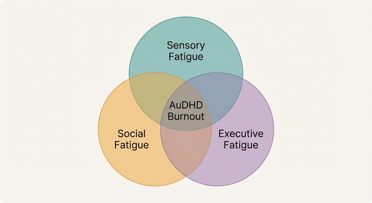 Venn diagram showing how Sensory, Social, and Executive Fatigue overlap to create AuDHD Burnout.