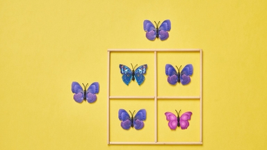 Common AuDHD Symptoms in Adults