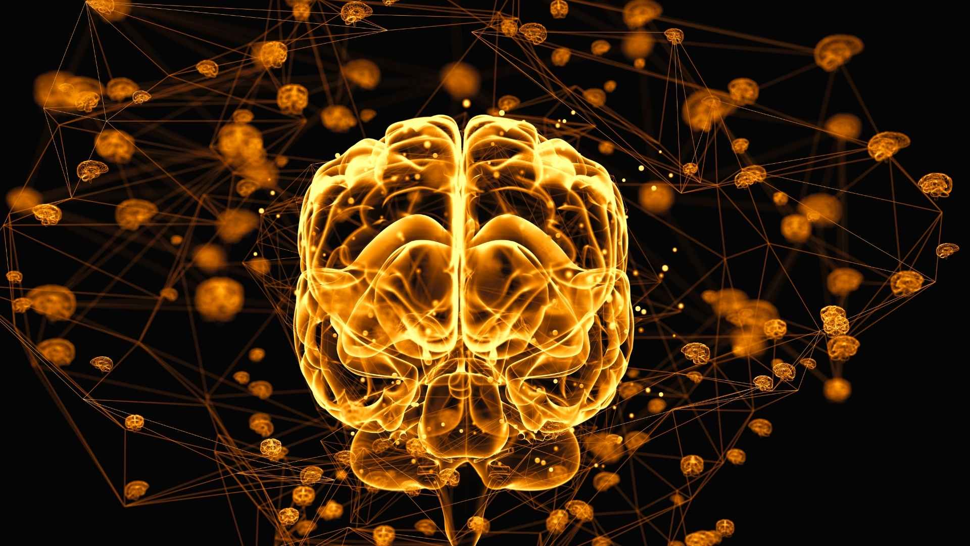 Illustration for: How Anxiety Affects the Brain