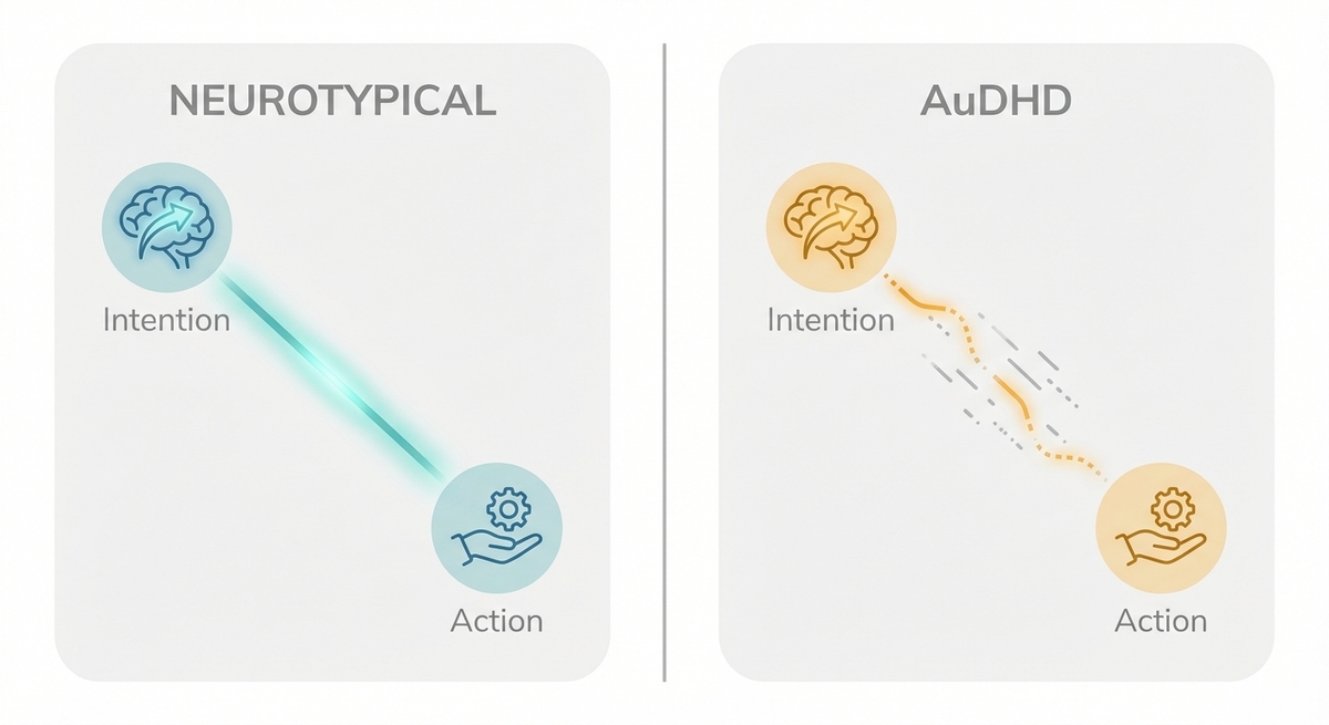 A diagram comparing a smooth neurotypical dopamine pathway to a frayed AuDHD pathway, showing difficulty in taking action.